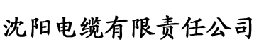 慈禧的秘密生活电缆厂logo